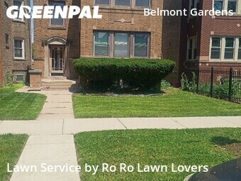 Lawn Mow nearby Chicago, IL, 