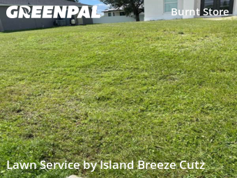 Lawn Service nearby Cape Coral, FL, 