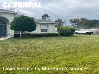 Grass Cutting nearby Palm Coast, FL, 