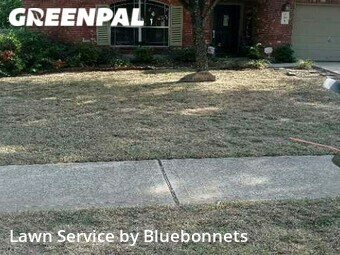 Yard Cutting nearby Leander, TX, 