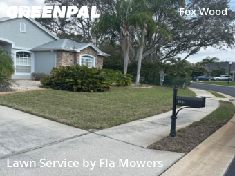 Yard Cutting nearby Trinity, FL, 