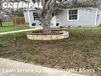 Yard Cutting nearby San Antonio, TX, 