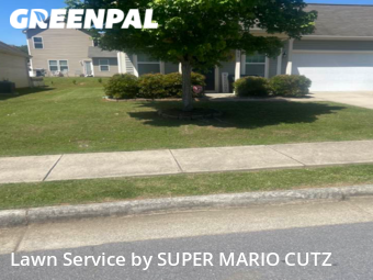 Lawn Mowing nearby Landis, NC, 