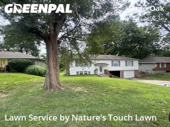 Lawn Care Service nearby Raytown, MO, 