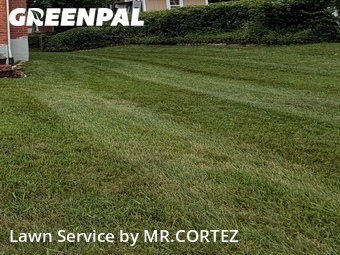 Lawn Mowing nearby Silver Spring, MD, 