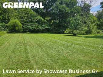 Lawn Mow nearby Rock Hill, SC, 