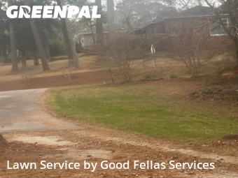 Backyard Mowing in Macon, 31210, Weekly Mowing by Good Fellas Services, work completed in Dec , 2025