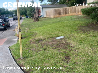 Lawn Cutting nearby San Antonio, TX, 
