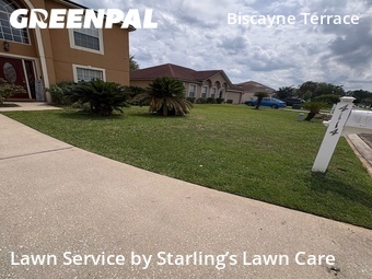 Grass Cut nearby Jacksonville, FL, 