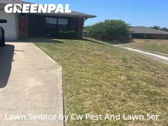 Lawn Cut nearby Killeen, TX, 