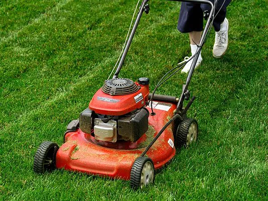 Express Lawnmower Shop Photo 6
