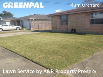 Grass Cutting nearby New Orleans, LA, 