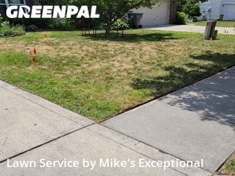 Lawn Maintenance nearby Indianapolis, IN, 