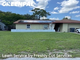 Lawn Mow nearby Winter Haven, FL, 