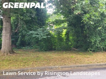 Lawn Maintenance nearby Atlanta, GA, 