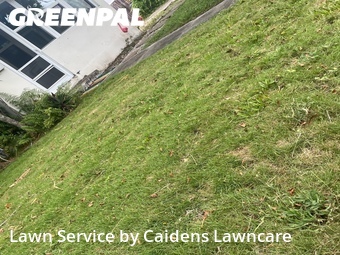 Landscaping Renovation In West Palm Beach,33403,Landscaping Services by Caidens Lawncare , work completed in Jul , 2026