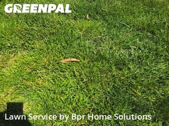 Yard Mowing nearby Fairfax, VA, 