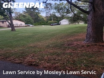 Grass Cutting nearby Clarksville, TN, 