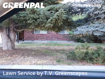 Grass Cut nearby Boise, ID, 