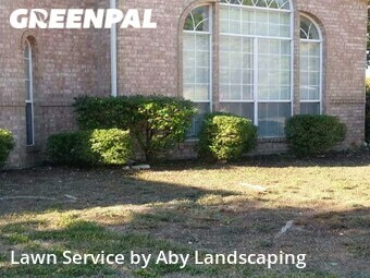 Grass Cut nearby Allen, TX, 