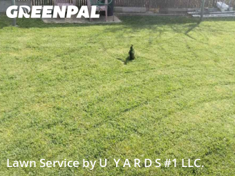 Grass Cutting nearby Riverbank, CA, 