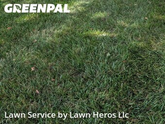Landscaping Cleanup In Greensboro,27409,Landscapers by Lawn Heros Llc , work completed in Jun , 2026