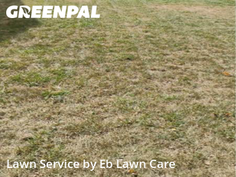 Yard Cutting in Mount Prospect, 60056, Backyard Mowing by Eb Lawn Care , work completed in Nov , 2025