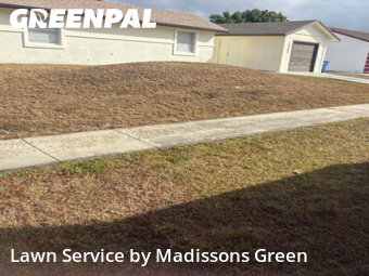 Grass Cutting nearby Royal Palm Beach, FL, 