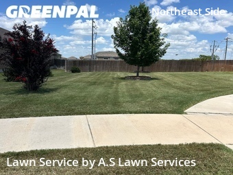 Lawn Mowing Service nearby Schertz, TX, 