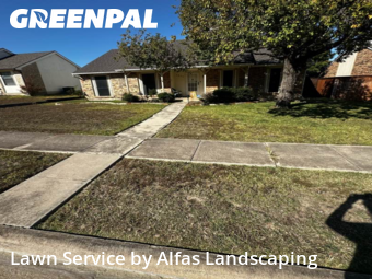 Grass Cuttingin The Colony,75056,Lawn Mow by Alfas Landscaping, work completed in Jan , 2026
