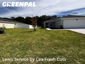 Yard Mowing nearby Ocala, FL, 