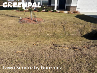 Lawn Mowing Service nearby Four Oaks, NC, 