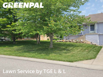 Lawn Cut nearby Belton, MO, 