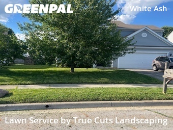 Lawn Mowing nearby Canal Winchester, OH, 