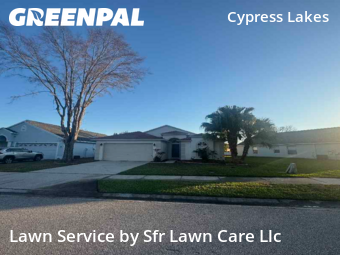 Grass Cuttingin Oldsmar,34677,Yard Mowing by Sfr Lawn Care Llc, work completed in Jun , 2026