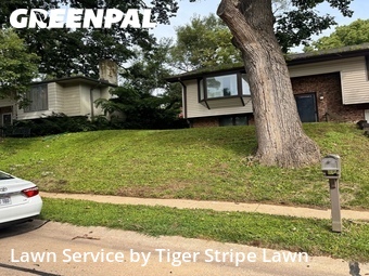 Landscapers In Bellevue,68005,Landscaping Renovation by Tiger Stripe Lawn, work completed in Jun , 2026