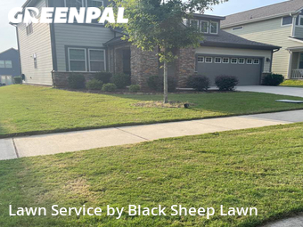 Lawn Mow nearby Charlotte, NC, 