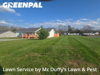 Grass Cutting nearby Baneberry, TN, 