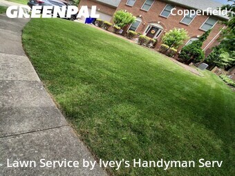 Lawn Maintenance nearby Lexington, KY, 