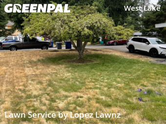 Lawn Mow nearby Bellevue, WA, 