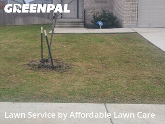 Lawn Mowing Service nearby Cibolo, TX, 