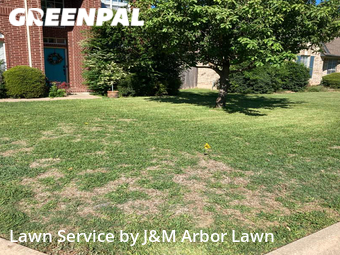 Lawn Mowing Service nearby Georgetown, TX, 