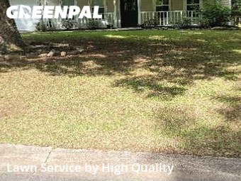 Lawn Cutting nearby Peachtree City, GA, 