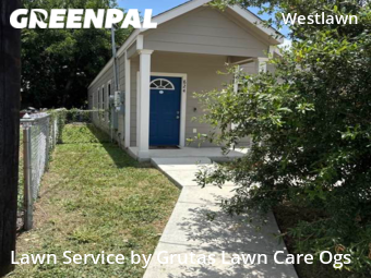 Grass Cutting nearby San Antonio, TX, 