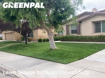 Yard Mowing nearby Winchester, CA, 