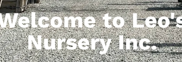 Best Nursery in Visalia California 2