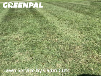 Lawn Care Service nearby Christiana, TN, 