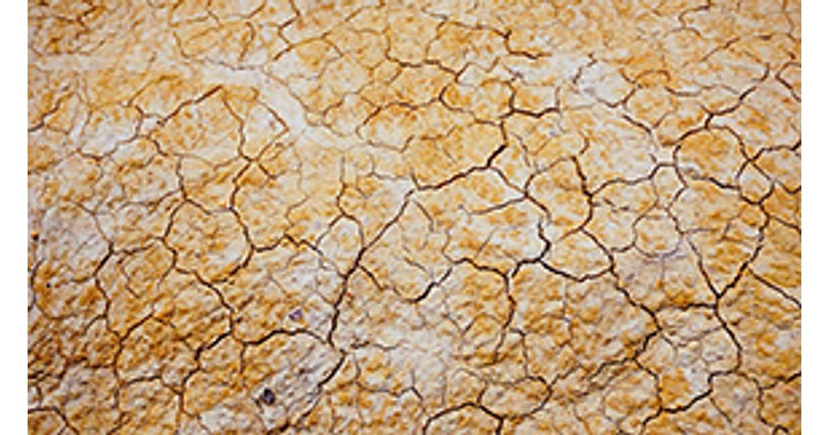 9 Proven Ways to Save Water in Your Garden - GreenPal | GreenPal