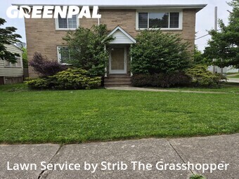 Lawn mowed in Parma, 44129