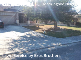 Grass Cut nearby New Braunfels, TX, 